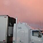 Businesses Play Vital Role in Storm Recovery