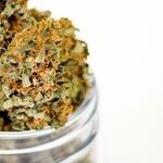 On Medical Pot, Florida Finally Gets It Right
