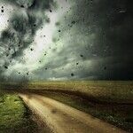Climate-Change Evidence Is Overwhelming. When Will Anti-Science Ideologues Get It?