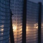 Why President Trump Keeps Winning on the Immigration Issue