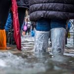 More Chaos Than Clarity in Trump's Handling of Border Migratory Flood
