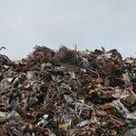 Battle Over Plastics Should Use Words