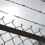 Government Report Charts the Human Cost of Trump's Family-Separation Policy