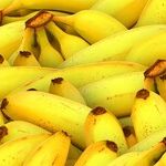 Barr's Criminal Probe of the Russia Investigation Is Truly Banana-Republic Stuff