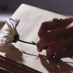 Short Takes on a Serial Book-Hider and Human Punching Bags
