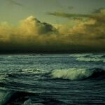 Rising Seas From Warming Will Imperil Millions More Than Earlier Predicted