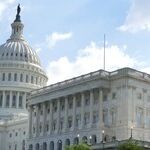 Democrats Should Guard Against Authoritarianism
