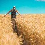 America's Farmers Love Trump, but His Policies Don't Love Them Back
