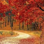 Trump's Fabulous Autumn