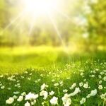 The Best Lies Ahead of an Easter in Darkness