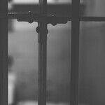 This President Coddles Criminals, and the Republican Party Coddles Him