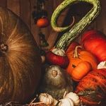 Adjusting to the New Thanksgiving Reality