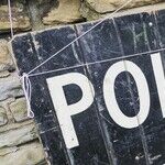 Trump's Election-Fraud Lies Are Spawning Violence. Republicans Must Step Up.