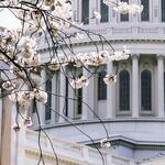 Congress Must Determine if Some of Their Own Aided the Insurrectionists