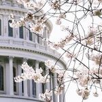 McConnell Is Right About Rep. Greene's Lunacy. But Trumpism Is the True Ailment.