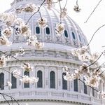 Hawley and Blunt Deepen Missouri's Embarrassment by Refusing To See Trump's Guilt