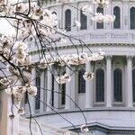 The Capitol Rioters Didn't 'Love This Country.' They Attacked Democracy.