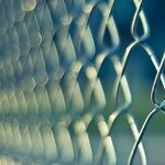 See the Border Crisis Through a Journalistic Microscope