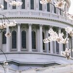 Rep. Greene's Toxic Antics Are Further Poisoning U.S. politics. Expel Her, Already.