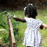 New Politics and Policies Treat Children like Chattel