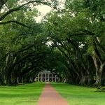 Marking Juneteenth, the Actual End of Slavery, isn't 'Black History' -- It's American History