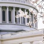Rep. Rodney Davis Squanders Integrity by Siding With GOP Extremists