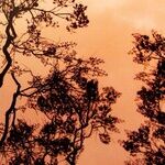 Climate Warnings Are No Longer Debatable. Fossil-fuel Culture Must Change Now.