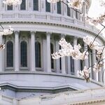 McCarthy's Thuggish Threat to Telecom Companies Deserves an Ethics Probe