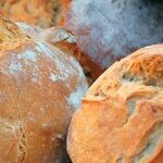 Democrats Should Stop Being Whiny, Accept Half a Loaf as the Best They Can Get