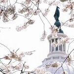 Complaining and Whining Isn't a Winning Strategy, as Democrats Learn the Hard Way