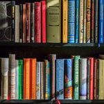 Legislature's Priorities Are To Prevent Diversity, Punish Libraries and Shortchange Teachers