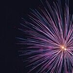 Reflecting on Our Past and Projecting into Our Uncertain Future