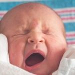 Getting to the Bottom of the Diaper Crisis