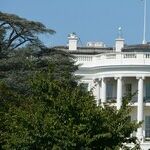 Sen. Scott's Exit Leaves Haley as the Only Rational Trump Alternative
