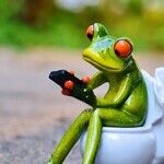 Repair Toilets Yourself to Save Water and Money