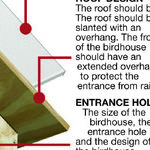 Plan and Build a Birdhouse for Various Birds