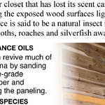 Use Aromatic Cedar Wood to Line Closet