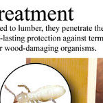 Use Borate To Preserve Lumber