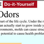 Eliminate Damp, Moldy Odors