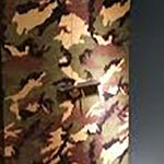 Camouflage Craze