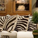 Animal Prints Gone Wild