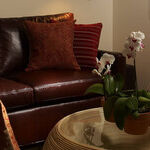 Intimate Spaces