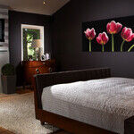 Sensual Decor