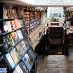 Homey, Enchanting Journeys for Young Readers