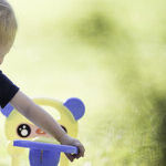 Summery Picture Books With Zest and Sizzle