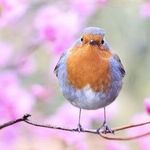 Put a Little Spring in Your Step -- and Your Books