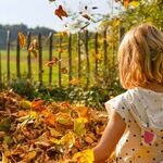 Put a Little Tactile Activity Into Your Fall Season