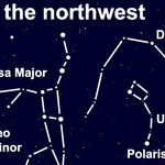 A Celestial Menagerie