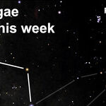 The Mysterious Case of Epsilon Aurigae