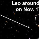 The Falling Stars of November